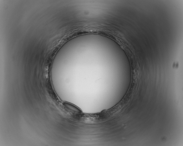 X0000112000368200908031052