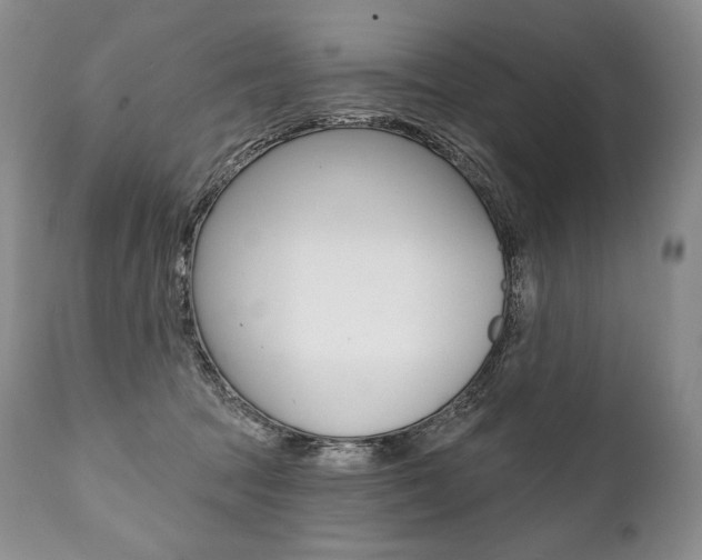 X0000112000369200908031052
