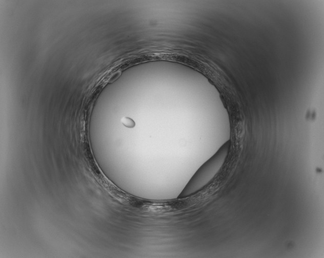 X0000112000372200908031052
