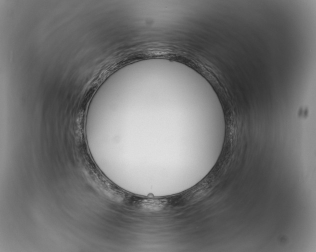 X0000112000373200908031052
