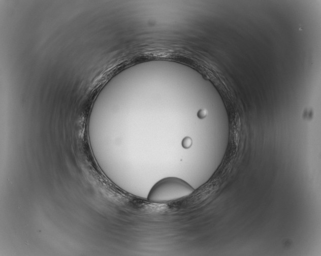 X0000112000374200908031052