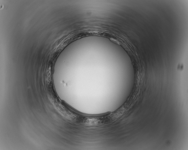 X0000112000376200908031052