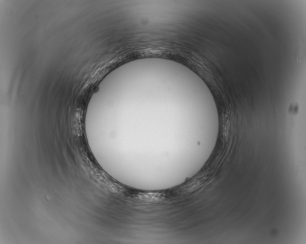 X0000112000378200908031052