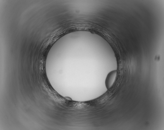 X0000112000379200908031052