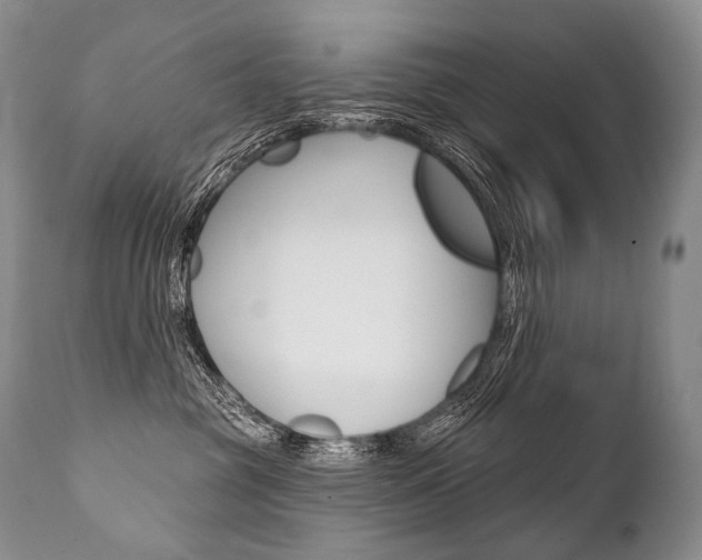 X0000112000381200908031052