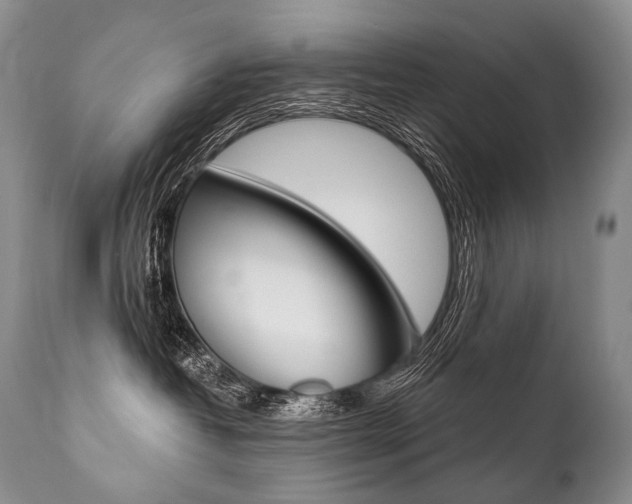 X0000112000382200908031052