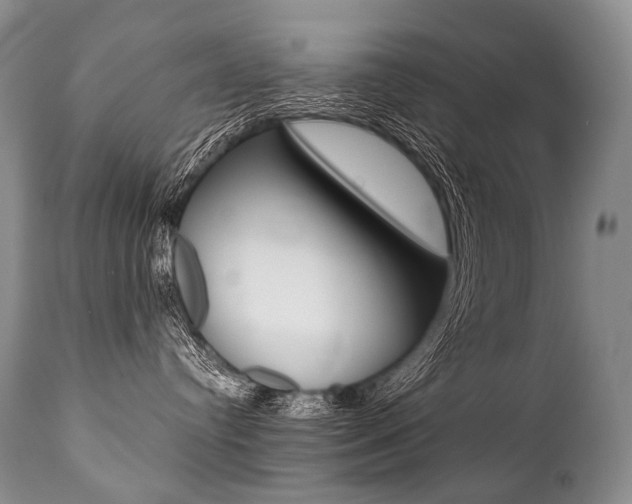 X0000112000384200908031052