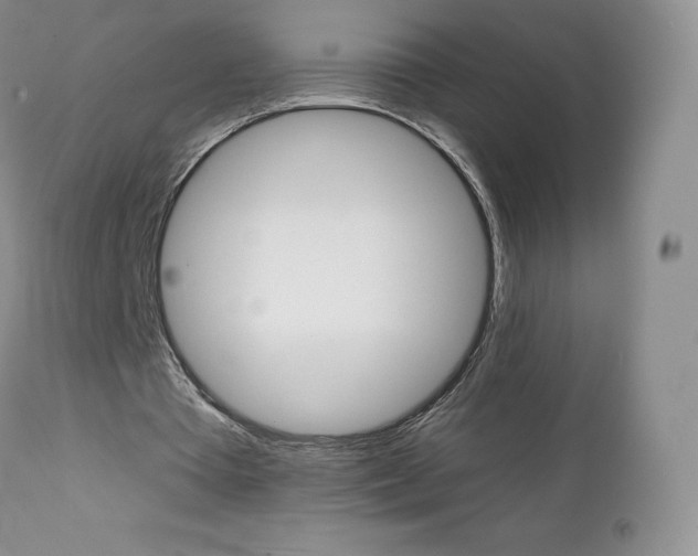 X0000112000385200908031052