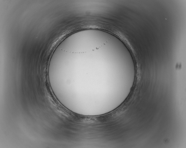 X0000112000386200908031052