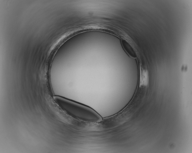 X0000112000387200908031052
