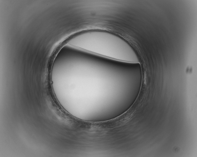 X0000112000388200908031052