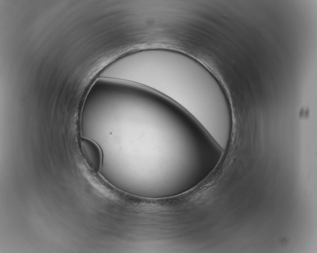 X0000112000389200908031052