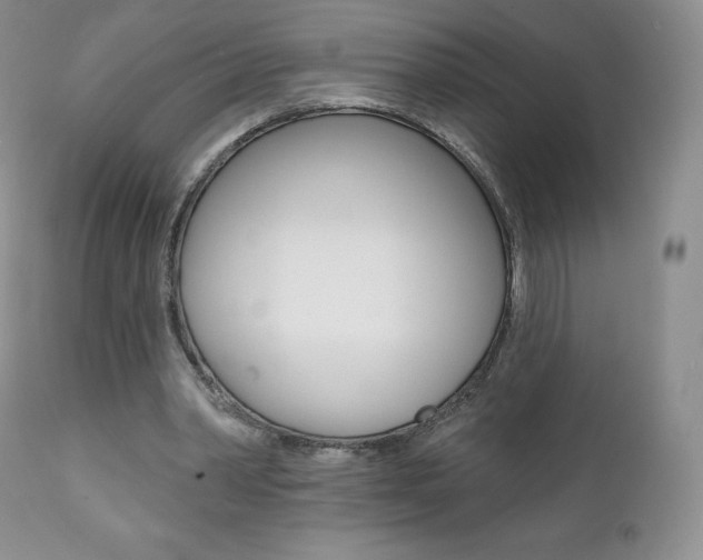 X0000112000390200908031052