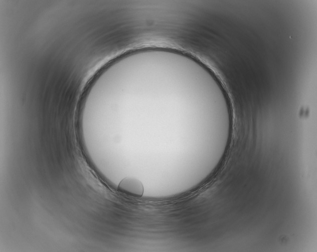 X0000112000391200908031052