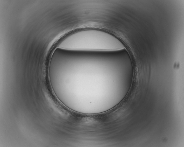 X0000112000392200908031051