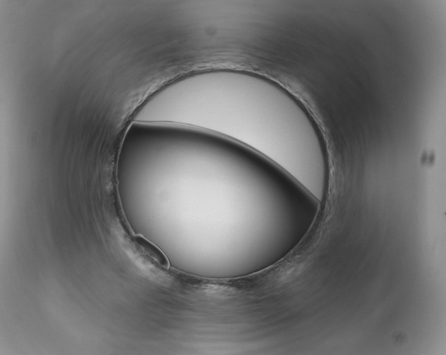 X0000112000393200908031051