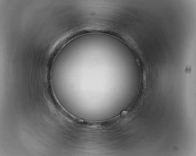 X0000112000396200908031051