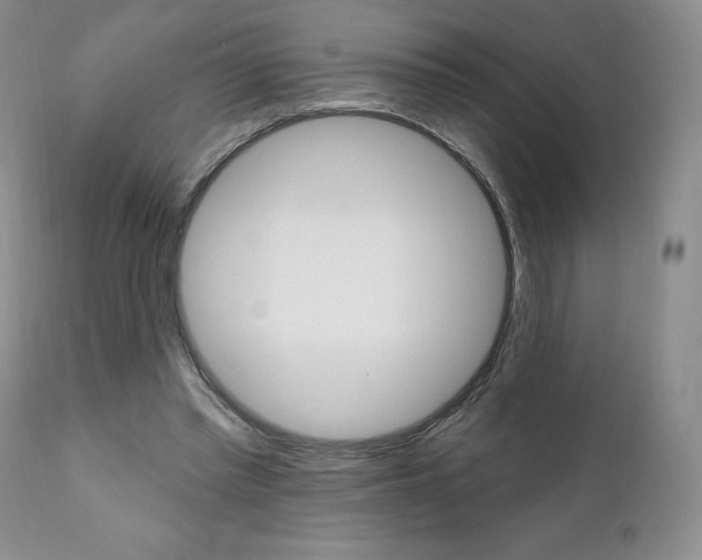 X0000112000397200908031051