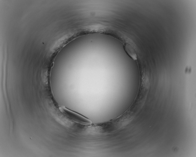 X0000112000403200908031051