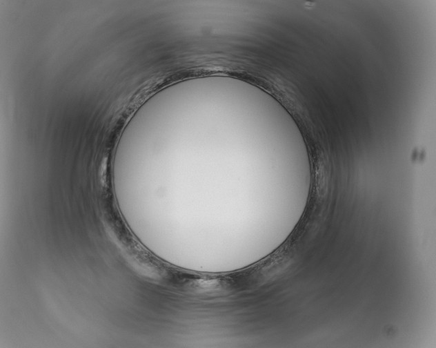 X0000112000406200908031051