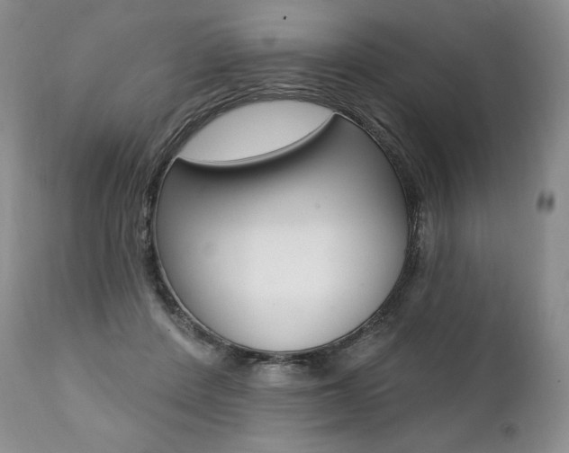 X0000112000408200908031051