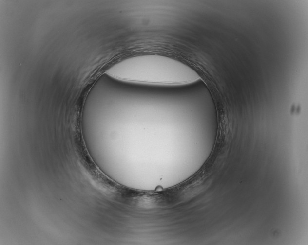 X0000112000412200908031051