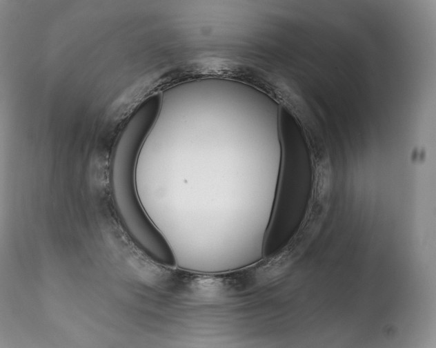 X0000112000413200908031051