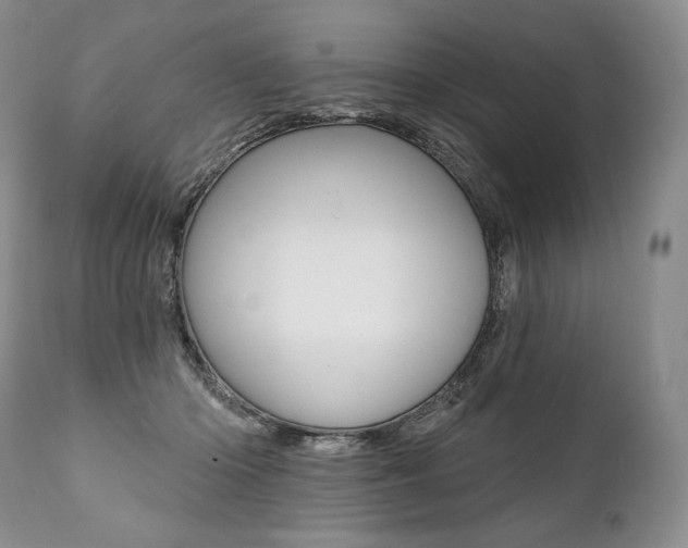 X0000112000414200908031051