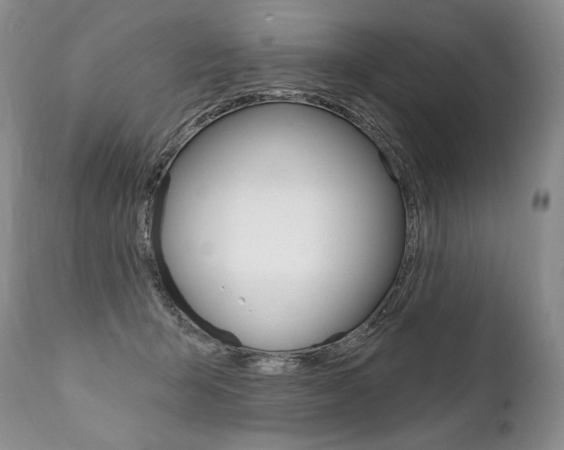X0000112000415200908031051