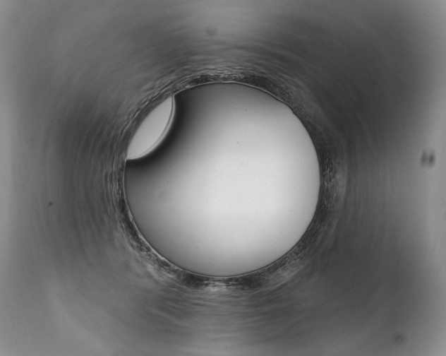 X0000112000416200908031051
