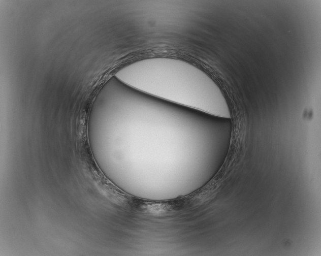 X0000112000417200908031051