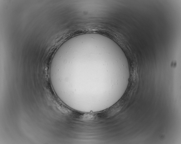 X0000112000418200908031051