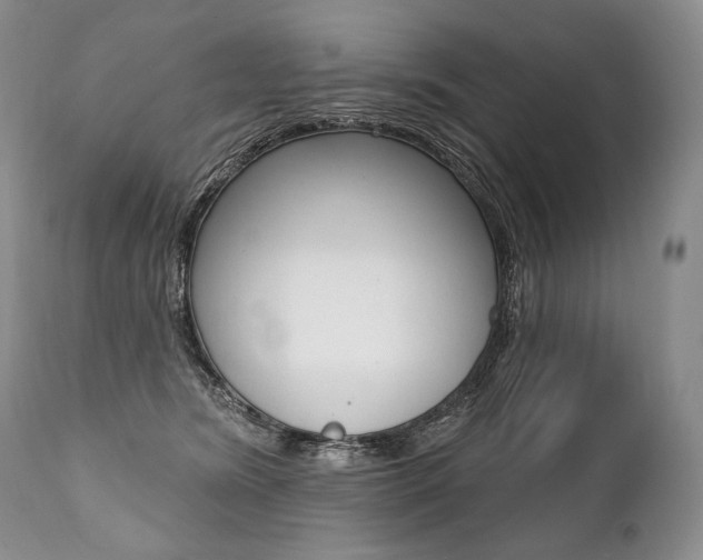 X0000112000420200908031051