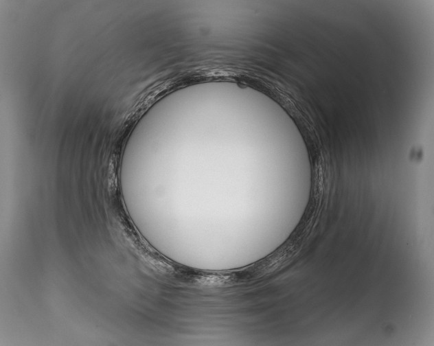 X0000112000422200908031051