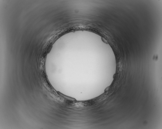 X0000112000423200908031051