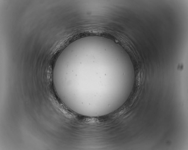 X0000112000424200908031051