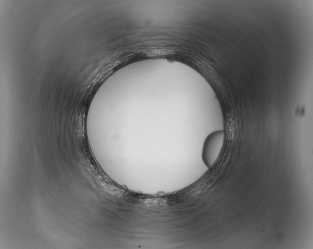 X0000112000426200908031051