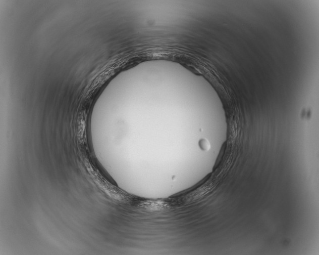 X0000112000427200908031051