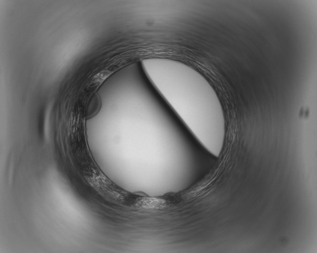 X0000112000429200908031051
