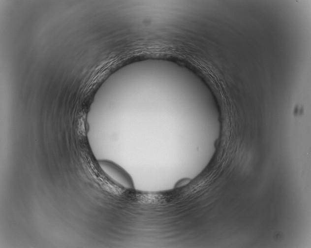 X0000112000432200908031051