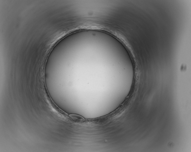 X0000112000433200908031050