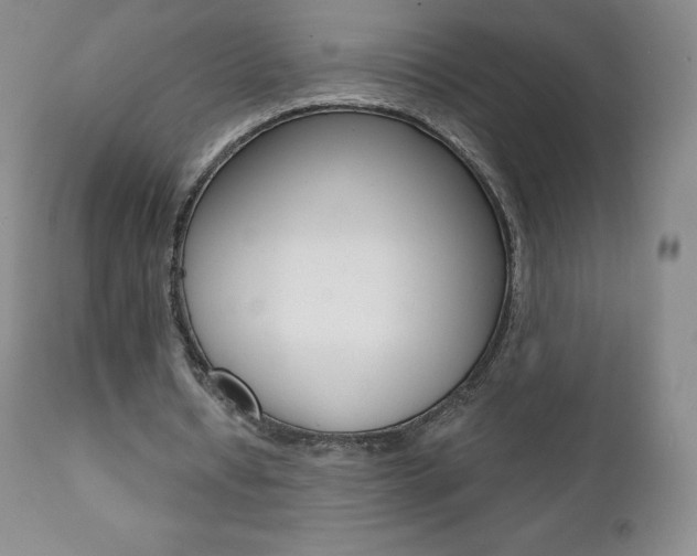 X0000112000434200908031050