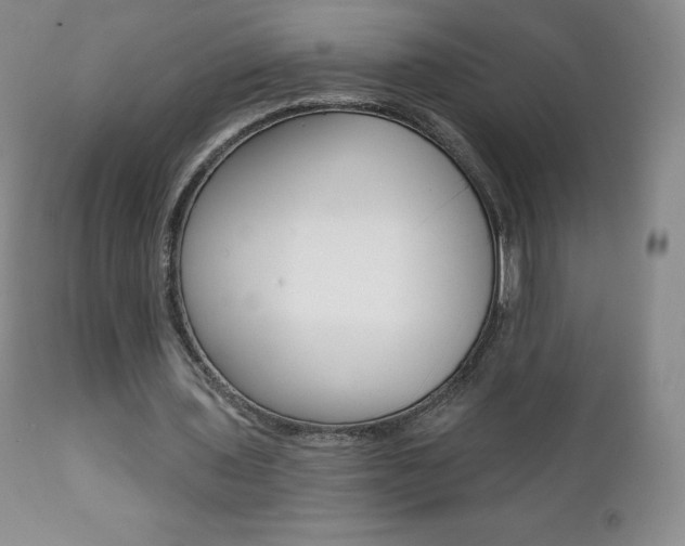 X0000112000435200908031050