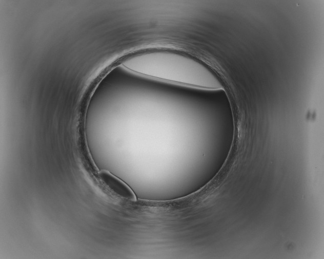 X0000112000436200908031050