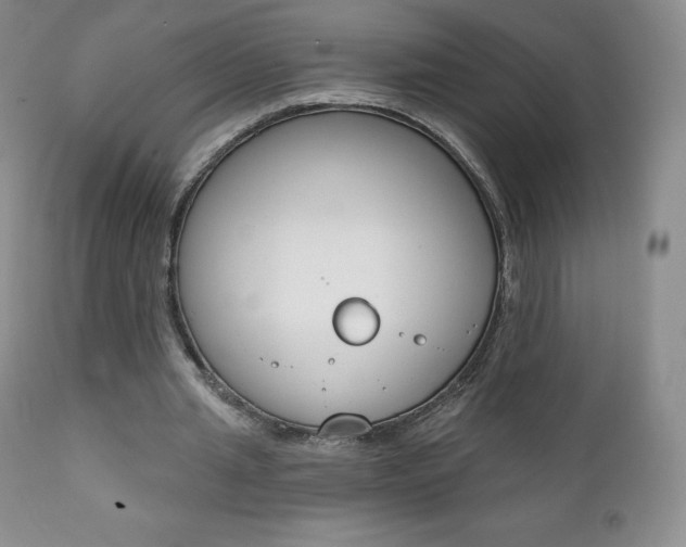 X0000112000437200908031050