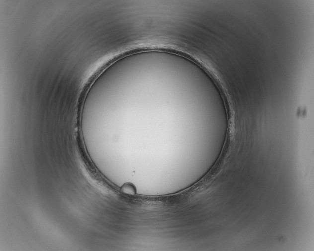 X0000112000438200908031050