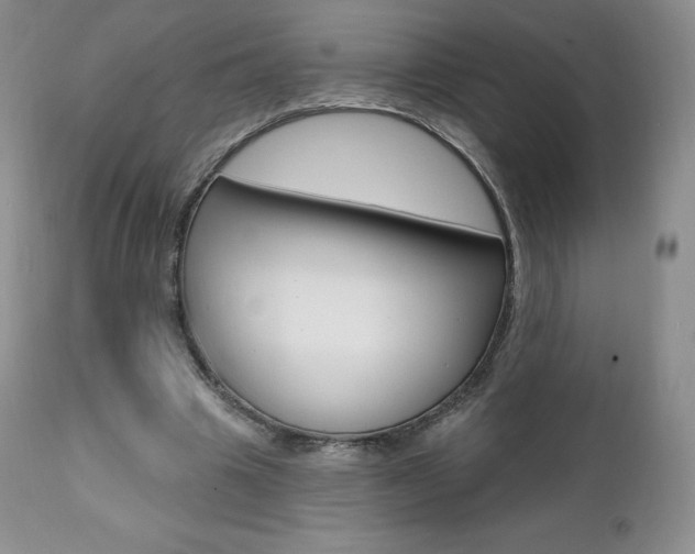 X0000112000441200908031050