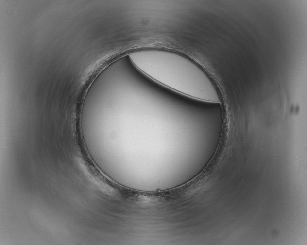 X0000112000442200908031050