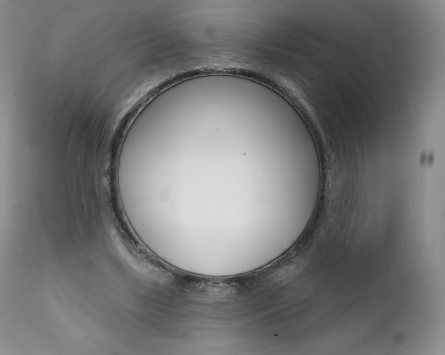 X0000112000443200908031050