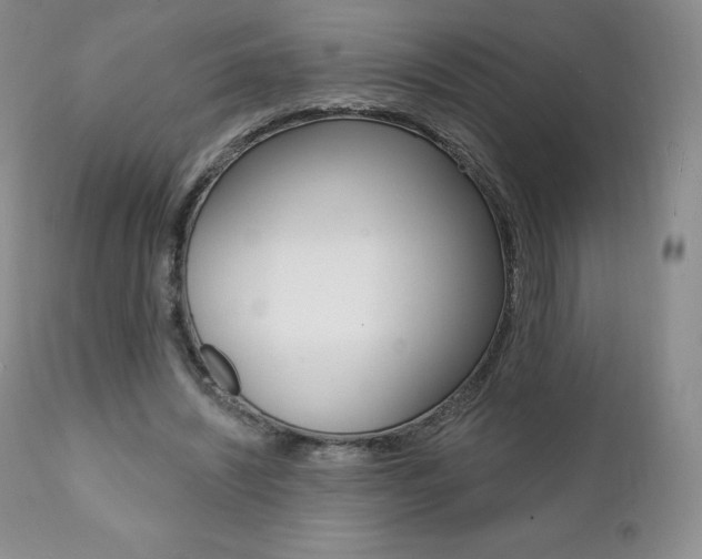X0000112000444200908031050